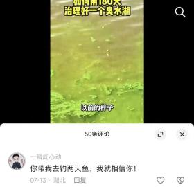 水这么清澈还有鱼吗？武汉一“臭水湖”变“美丽河湖”引发市民讨论，记者实地探访